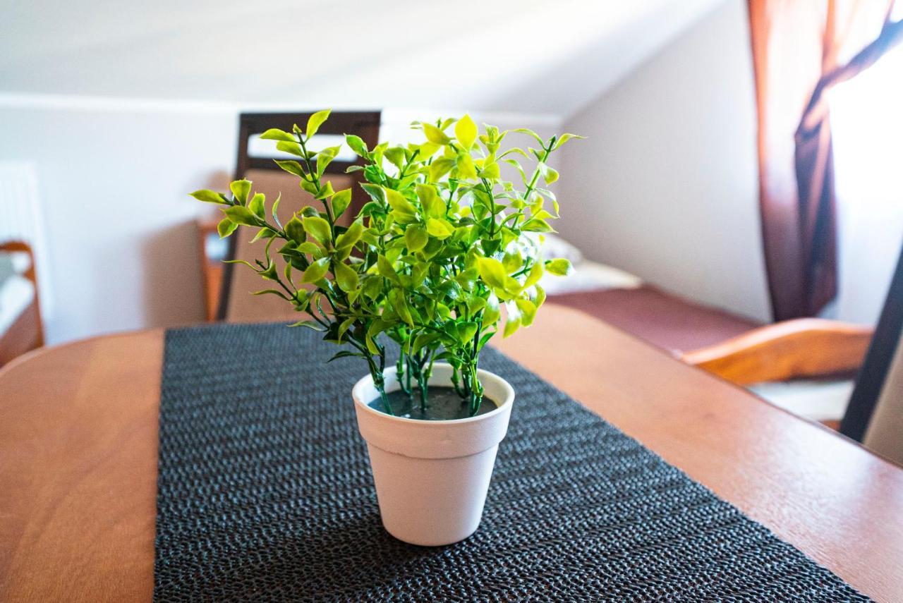 Willa Rossa Wladyslawowo Ngoại thất bức ảnh
